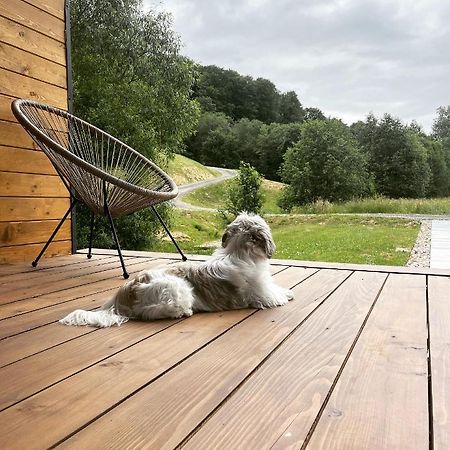 Mini Valley House 1 Sita Buzăului المظهر الخارجي الصورة