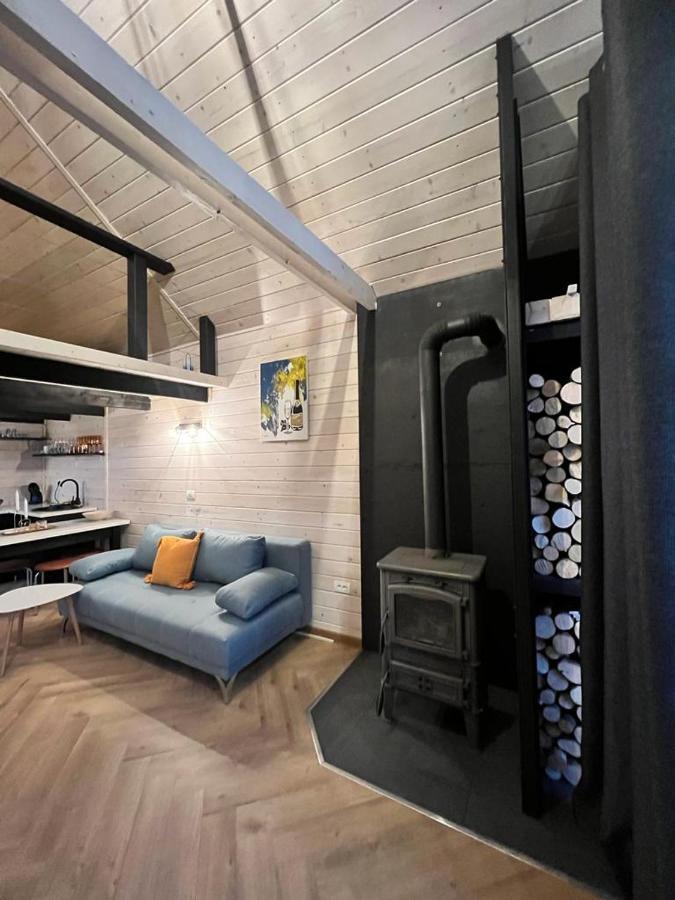 Mini Valley House 1 Sita Buzăului المظهر الخارجي الصورة