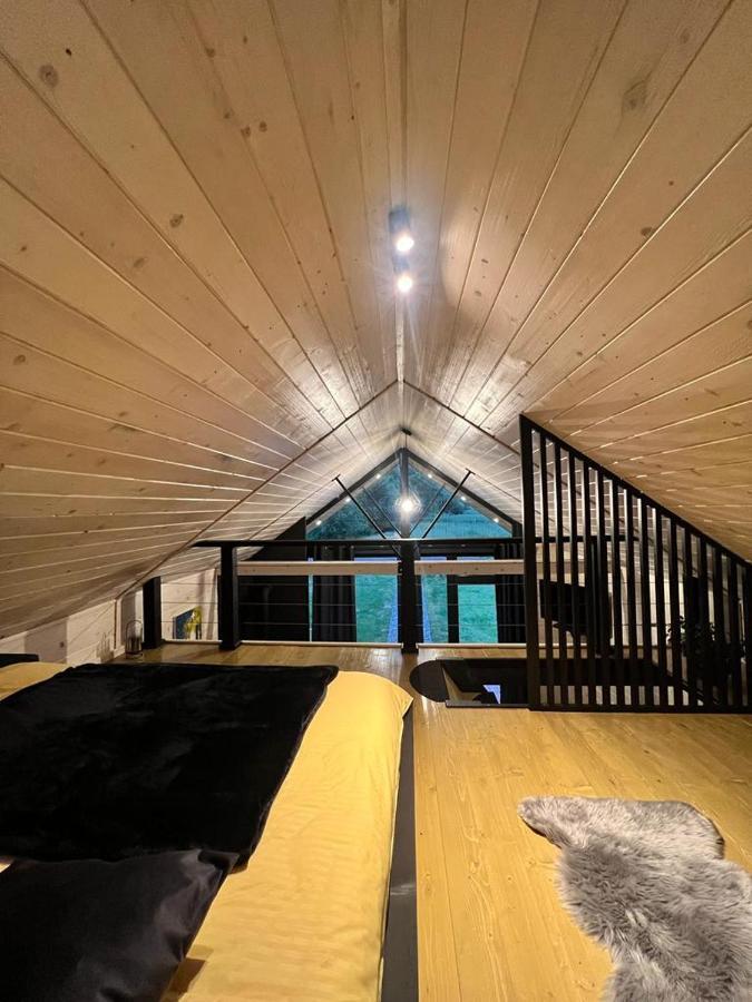 Mini Valley House 1 Sita Buzăului المظهر الخارجي الصورة