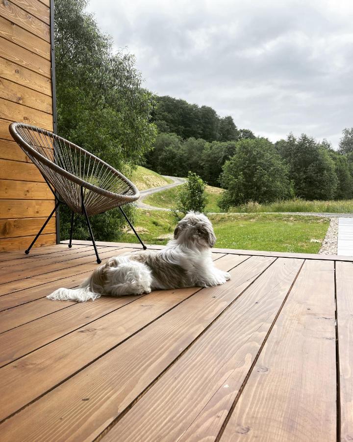 Mini Valley House 1 Sita Buzăului المظهر الخارجي الصورة