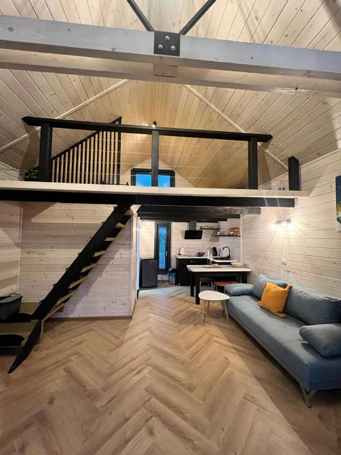 Mini Valley House 1 Sita Buzăului المظهر الخارجي الصورة